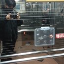 일진프라자 네이버블로그