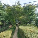 7월7일(화)오전10시 화요아침걷기 오패산무장애숲길~북서울의꿈 이미지