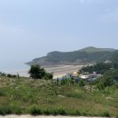 캐리비안민박 네이버블로그