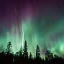 aurora(오로라) 이미지