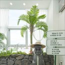 사무실제주