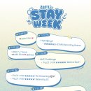 스테이 잔다 네이버블로그