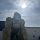 더킹콩 | 경주 양남 대형 베이커리 카페 “더킹” 방문 후기