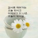 😊건빵맘의 뮤직 큐~~🎶 이미지