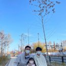 선한태권도장 이미지