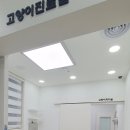 라온동물의료센터 이미지