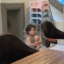 큐리키즈카페 이미지