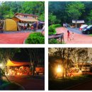 성남가족캠핑숲 이미지