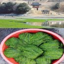 감태해장국 이미지