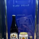 5월5일 | 5월 삿포로 4박 5일 자유여행 일정 가볼만한곳