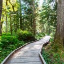 송정신원아침도시아파트 이미지