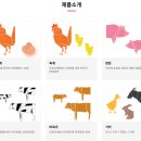 고려사료주식회사 네이버블로그