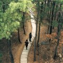 소라텔 네이버블로그