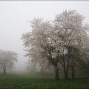 정권목장 이미지