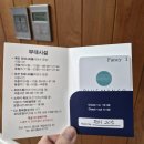 블루망고풀빌라앤리조트 | 여수 수영장 풀빌라 블루망고 풀빌라 앤 리조트 후기 실외 수영장 넓은 풀빌라