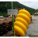 숲이조아캠핑장 이미지