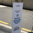 동인슈퍼 | 압타클럽X옳음 압타클럽 셀렉티브 다이닝 런치 후기