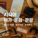 우쿨렐레(초급/오전) | 🎨 시니어 여가·문화·관광, 제대로 돈 되는 운영 가이드