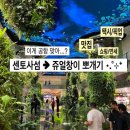 쥬얼시티 | 센토사에서 나오는 법 비보시티 쥬얼 창이공항 샌딩 택시 가격 쇼핑 맛집