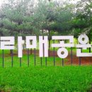 보라매공원 이미지