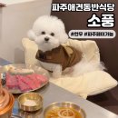 바른생고기정육점 소풍정육식당 이미지