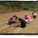 정산면사무소 이미지