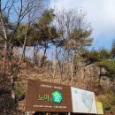 노아의숲관광농원