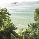 11650-17-197-25 | 부산 당일치기 누가해요 내가 해요