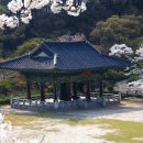 능북초등학교 이미지