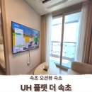 장기상회 | 속초 중앙시장 오징어 난전 숙소 UH 플랫 더 속초 스위트오션뷰 내돈내산 후기