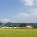 녹죽군자절 청송장부 이미지