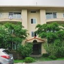 하우스 라퓨타 이미지