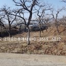 금와공인중개사사무소 이미지