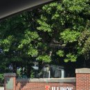 캠퍼스마트 | 미국 명문대 UIUC 캠퍼스 투어 후기, 아이들과 함께 다녀온 특별한 하루