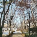 동호한의원 | 🏃‍♀️ 2026 새해 런데이 소망 RUN 3주 차 완료❄️ 겨울 러닝 기록｜5km 완주 후기