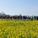 나비야함평가자 이미지