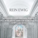 에비히 (Ewig) 이미지
