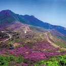 [2026년 5월 정기산행] - 5월10일 합천 병바위 릿지 감암산 &amp; 황매산 철쭉산행 이미지
