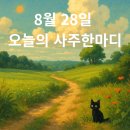 8월 28일 기사일, 오늘의 띠별 운세 이미지