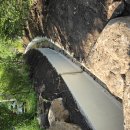 보광약국 이미지