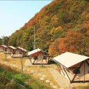 아트인아일랜드야영장 이미지