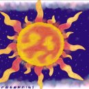 오늘도 스터디 이미지