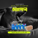 신금호약국