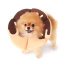 마이 펫테이블 이미지