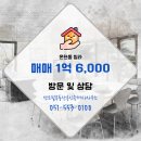 대지공인중개사사무소 이미지