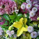 지명행정사사무소 이미지