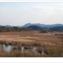 갈대습지공원 이미지