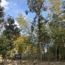 제주의 사색 | [제주 책방 티하우스] 조용히 사색하기 좋은 에가톳 라이브러리 투숙객 방문 후기