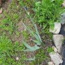 홍천산골놀이터 이미지