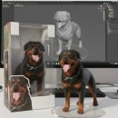 요세라코리아 이미지